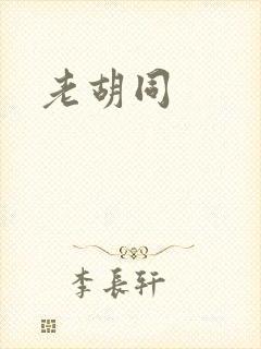 老胡同