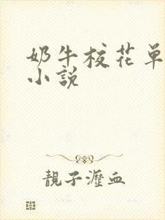 奶牛校花单沁雪小说