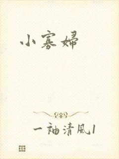 小寡妇封面