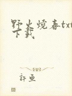 野火烧春txt下载