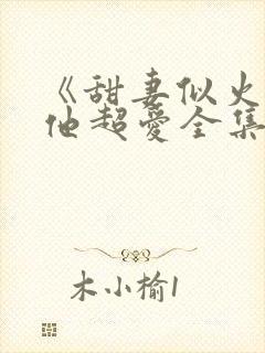 《甜妻似火霍爷他超爱全集完结》在封面