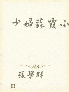 少妇苏霞小说
