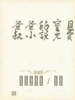 爸爸的宝贝李叔叔小说免费阅读封面