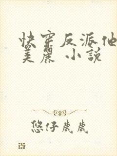 快穿反派他过分美丽 小说封面