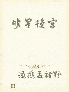 明星后宫