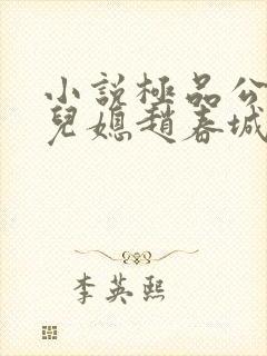 小说极品公公俏儿媳赵春城和苏媚封面