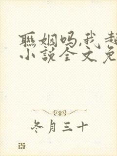 联姻吗,我超甜小说全文免费阅读封面