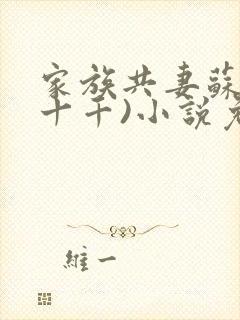 家族共妻苏苏(十千)小说免费