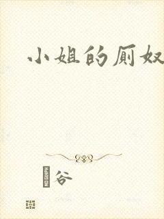 小姐的厕奴