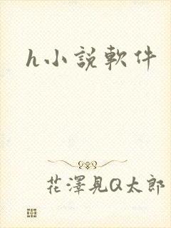 h小说软件