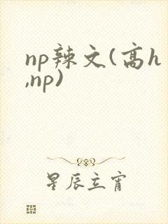 np辣文(高h,np)