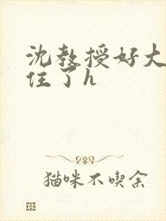 沈教授好大含不住了h