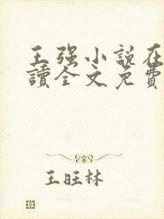 王强小说在线阅读全文免费