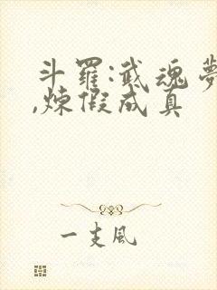 斗罗:武魂梦蝶,炼假成真