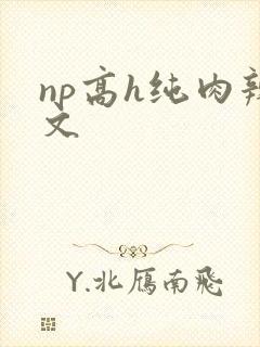 np高h纯肉辣文