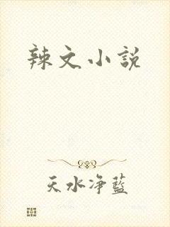 辣文小说