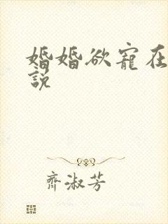 婚婚欲宠在线小说