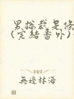 男总裁是条骚狗(完结番外)笔趣阁小说