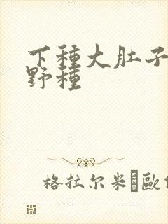 下种大肚子怀孕野种