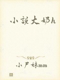 小说大奶h
