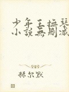 少年王抚琴的人小说无删减正版在线阅读