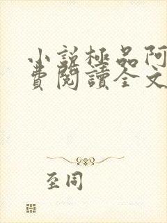 小说极品阿姨免费阅读全文封面