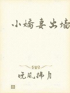 小娇妻出墙记