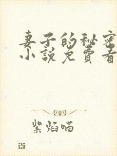 妻子的秘密网络小说免费看第一章封面