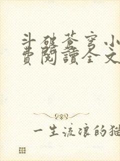 斗破苍穹小说免费阅读全文无弹窗封面