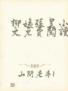 柳姨张昊小说全文免费阅读封面