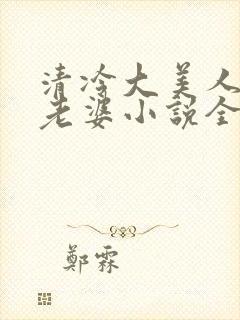 清冷大美人是我老婆小说全文阅读封面