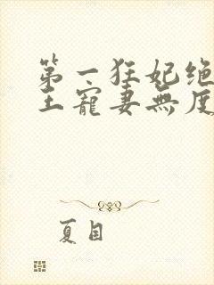 第一狂妃绝色邪王宠妻无度免费阅读