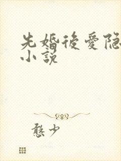 先婚后爱隐婚的小说封面
