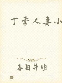 丁香人妻小说