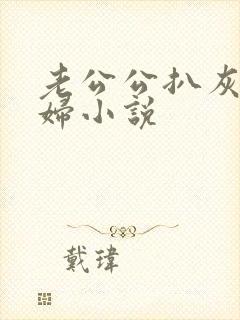 老公公扒灰儿媳妇小说封面