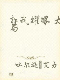 许我耀眼 大结局封面