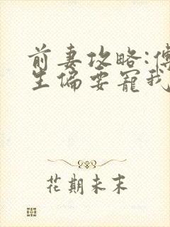 前妻攻略:傅先生偏要宠我原著