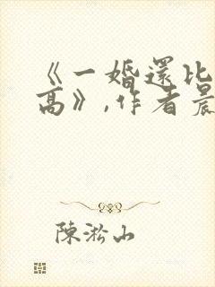 《一婚还比一婚高》,作者晨雾的光