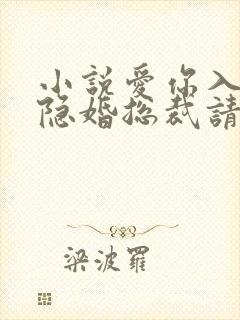小说爱你入骨,隐婚总裁请签字未删减