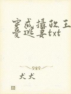 穿成摄政王的侍爱逃妻txt
