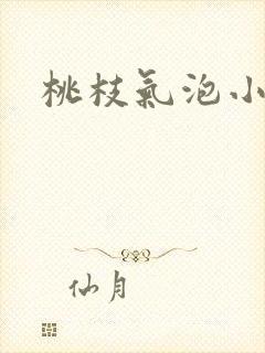 桃枝气泡小说