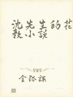 沈先生的花式管教小说封面