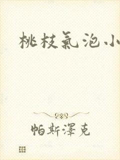 桃枝气泡小说