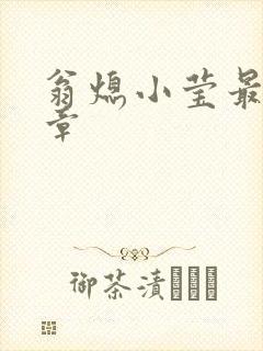 翁熄小莹最新节章