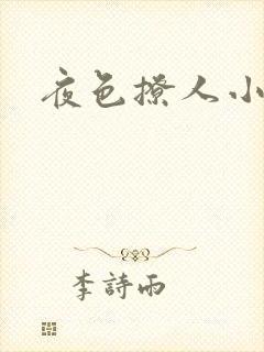 夜色撩人小说