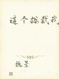 这个总裁我要了