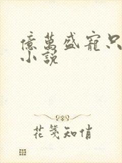 亿万盛宠只为你小说