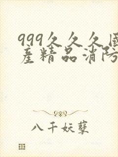 999久久久国产精品消防器材
