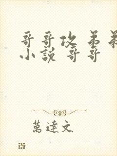 哥哥攻 弟弟受小说 哥哥封面