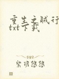 重生之贼行天下txt下载